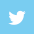 icon-twitter