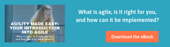 Agility made easy: introduction into agile